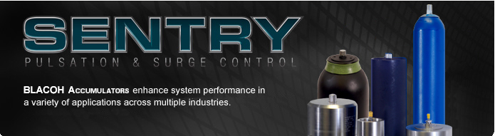 SENTRY Pulsation & Surge Control: SENTRY Pulsation Dampeners & Surge Suppressors remove hydraulic shock and vibration, enhancing all-around performance and reliability of fluid flow applications.
