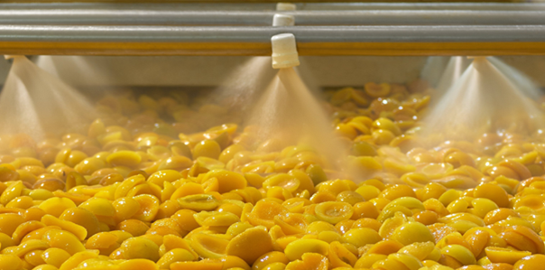 Water Hammer in Wash-Water Header